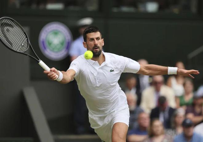 戴维斯杯完胜澳网，德约科维奇统治全场的简单介绍