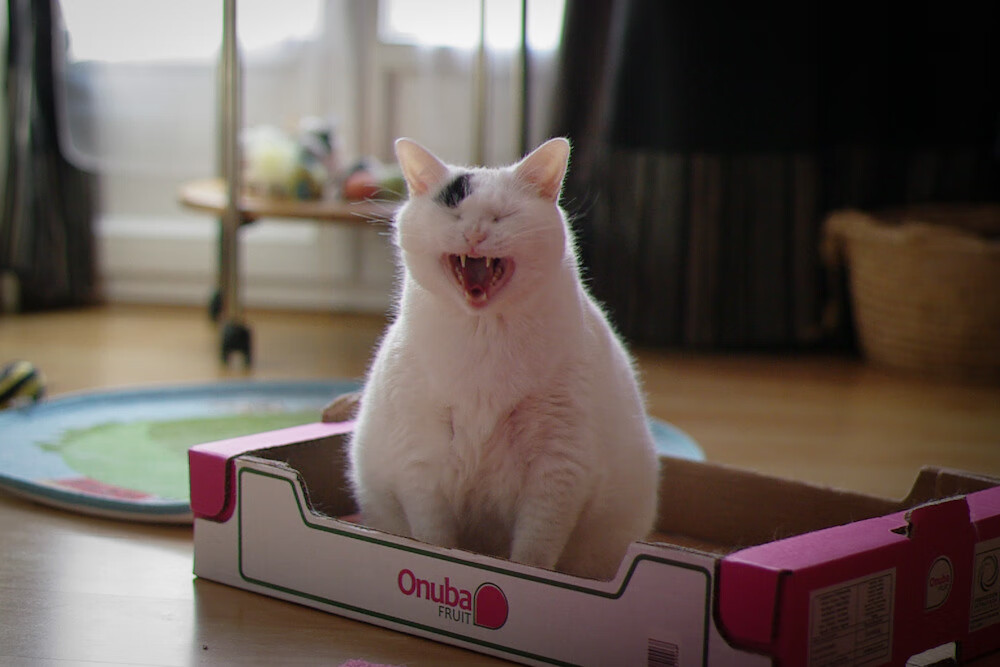 战术革命,洪都拉斯铁血防线锁死黄金一代,哈弗茨跨时代统治攻防两端